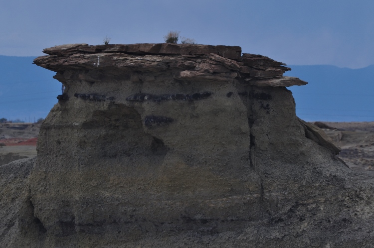 bisti wilderness